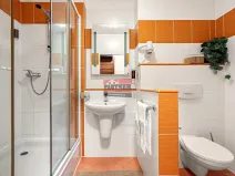Prodej bytu 1+kk, Frymburk, 31 m2