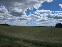 Prodej pozemku, Osice, 12374 m2