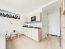Pronájem bytu 1+kk, Praha - Radlice, Peroutkova, 18 m2