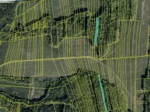 Prodej lesa, Hřivínův Újezd, 3320 m2