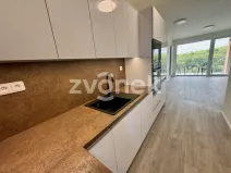 Pronájem bytu 2+kk, Zlín, Nad Stráněmi, 54 m2