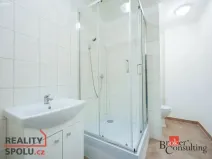 Pronájem bytu 2+kk, Mlékojedy, 50 m2