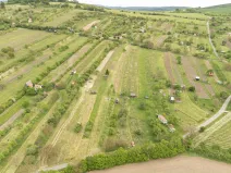 Prodej sadu/vinice, Strážnice, 5457 m2