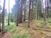 Prodej pole, Krásná, 1440 m2