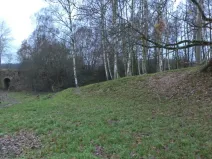 Dražba louky, Cvikov, 1017 m2