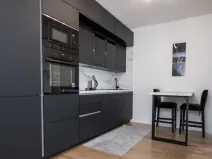 Prodej bytu 1+kk, Praha - Žižkov, Krásova, 41 m2
