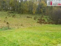 Prodej pozemku pro bydlení, Petrovice, 10000 m2