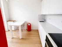 Pronájem bytu 3+1, Praha - Vinohrady, Šafaříkova, 95 m2