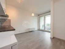 Pronájem bytu 2+kk, Praha - Žižkov, Olgy Havlové, 43 m2