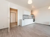 Pronájem bytu 2+kk, Praha - Žižkov, Olgy Havlové, 43 m2