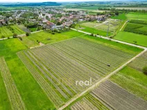 Prodej pozemku, Březí, 4926 m2