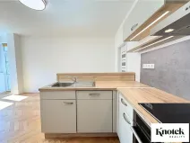 Pronájem bytu 2+kk, Brno, Merhautova, 48 m2