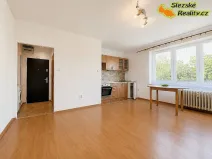 Pronájem bytu 1+kk, Ostrava, Krakovská, 27 m2