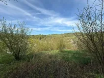 Prodej pozemku pro bydlení, Bušín, 3553 m2