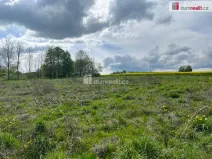 Prodej pozemku pro bydlení, Rudná pod Pradědem - Stará Rudná, 3978 m2