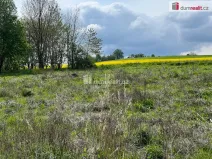 Prodej pozemku pro bydlení, Rudná pod Pradědem - Stará Rudná, 3978 m2