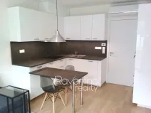Pronájem bytu 1+kk, Brno, Studentská, 25 m2