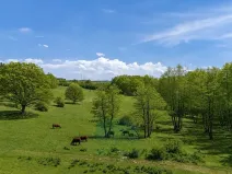 Prodej louky, Vrchotovy Janovice, 274000 m2
