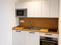 Pronájem bytu 1+kk, Opava - Kateřinky, Rolnická, 35 m2