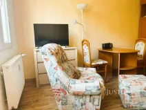 Pronájem bytu 1+kk, Písek - Budějovické Předměstí, 17. listopadu, 19 m2