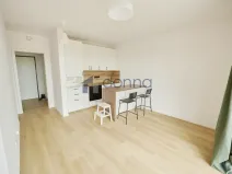 Pronájem bytu 1+kk, Praha, Libušská, 44 m2