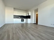 Pronájem bytu 2+kk, Plzeň - Východní Předměstí, Papírnická, 60 m2