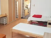 Pronájem bytu 1+1, Brno, Ptašínského, 40 m2