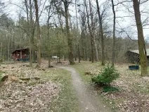 Prodej lesa, Petrov, 23078 m2