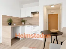Pronájem bytu 1+kk, Český Těšín, Okružní, 28 m2