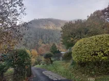 Prodej zahrady, Ústí nad Labem, Broskvoňová, 428 m2
