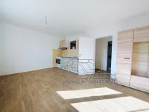 Pronájem bytu 1+1, České Budějovice, 44 m2