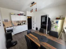 Prodej bytu 1+1, Duchcov, V Domkách, 32 m2