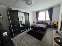 Prodej bytu 1+1, Duchcov, V Domkách, 32 m2