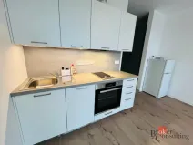 Pronájem bytu 1+kk, Plzeň - Jižní Předměstí, U Borského parku, 24 m2