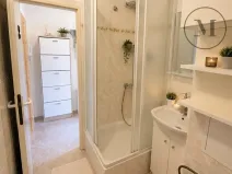 Pronájem bytu 2+kk, České Budějovice, J. Opletala, 38 m2