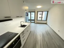 Pronájem bytu 1+kk, Pardubice - Bílé Předměstí, Štrossova, 41 m2