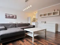 Pronájem bytu 2+kk, České Budějovice - České Budějovice 3, Riegrova, 65 m2