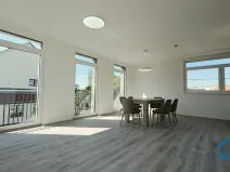 Pronájem bytu 4+kk, Herink, U Kovárny, 165 m2