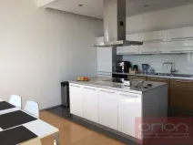 Pronájem bytu 6+kk a větší, Praha - Vinohrady, Chopinova, 204 m2