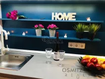 Pronájem bytu 1+1, Praha - Vinohrady, Na Folimance, 40 m2