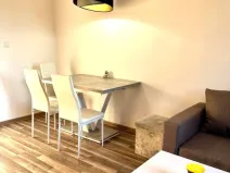 Pronájem bytu 2+kk, Starý Plzenec, Radyňská, 55 m2