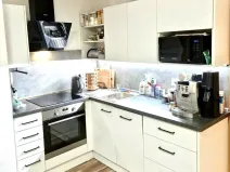 Pronájem bytu 2+kk, Starý Plzenec, Radyňská, 55 m2