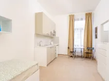 Pronájem bytu 1+kk, Praha - Libeň, Kolčavka, 335 m2