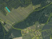 Prodej louky, Švihov, 1974 m2