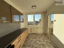 Pronájem bytu 3+1, Most, Růžová, 55 m2