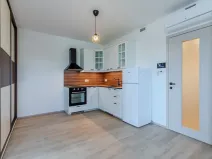 Pronájem bytu 1+kk, Praha - Žižkov, Malešická, 39 m2