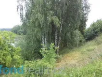 Prodej pozemku, Třebařov, 4992 m2