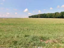 Prodej komerčního pozemku, Planá nad Lužnicí, 1838 m2