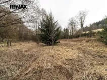 Prodej pozemku pro bydlení, Červená Voda, 1100 m2