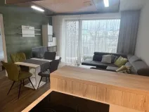 Pronájem bytu 2+kk, Plzeň - Východní Předměstí, Pallova, 46 m2